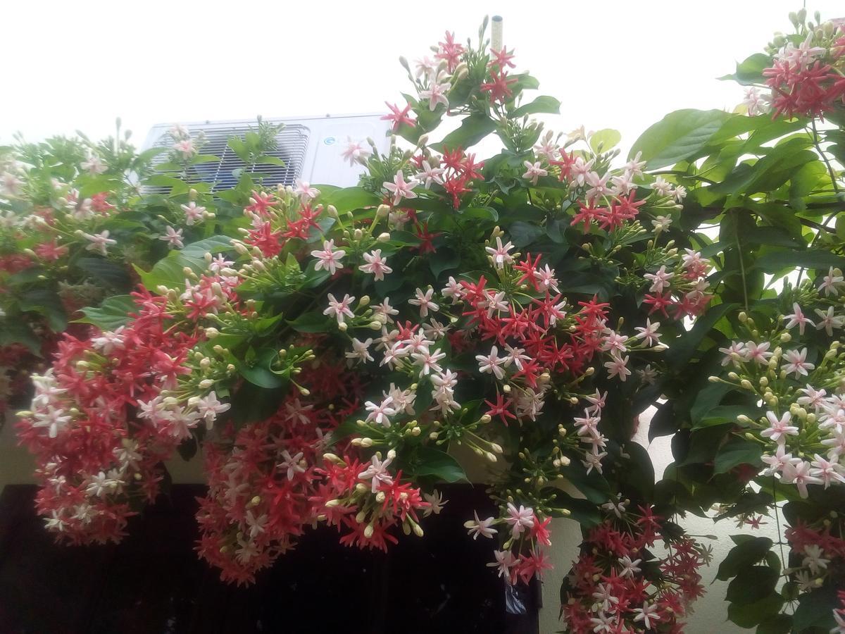 נין בין Tam Coc Smile Homestay מראה חיצוני תמונה